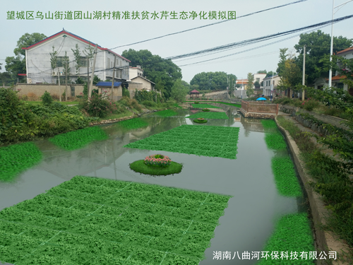 團山湖村精準(zhǔn)扶貧水芹凈化模擬圖