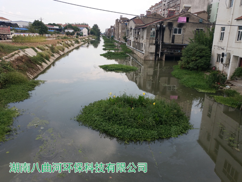 河道生態(tài)修復水生花卉浮島