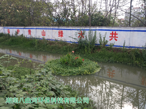 河道生態(tài)修復水生花卉浮島