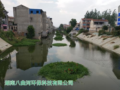 河道生態(tài)修復水生花卉浮島