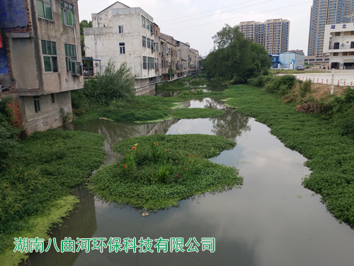 河道生態(tài)修復水生花卉浮島