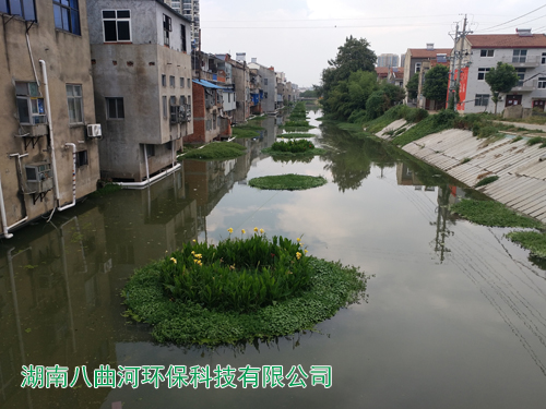 河道生態(tài)修復水生花卉浮島