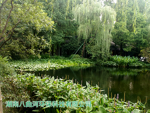 人工濕地生態(tài)公園