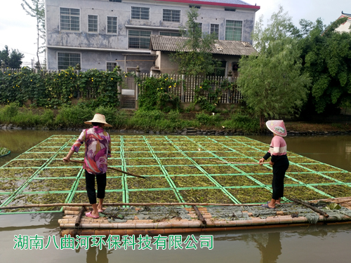 人工濕地生態(tài)公園