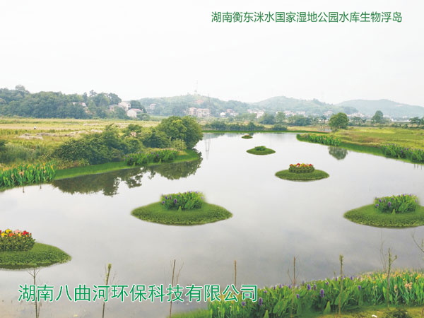 湖南衡東洣水國(guó)家濕地公園水庫(kù)生物浮島