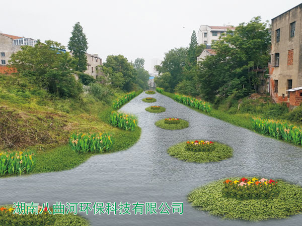 孝南區(qū)河道生態(tài)修復(fù)花卉浮島