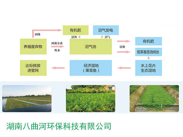 高污染物污水生態(tài)治理與資源化利用系統(tǒng)