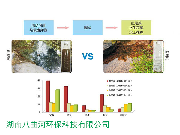 平原河網(wǎng)區(qū)河道水污染生態(tài)治理