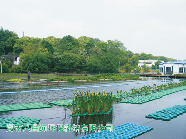 水上生態(tài)浮島種植水生植物