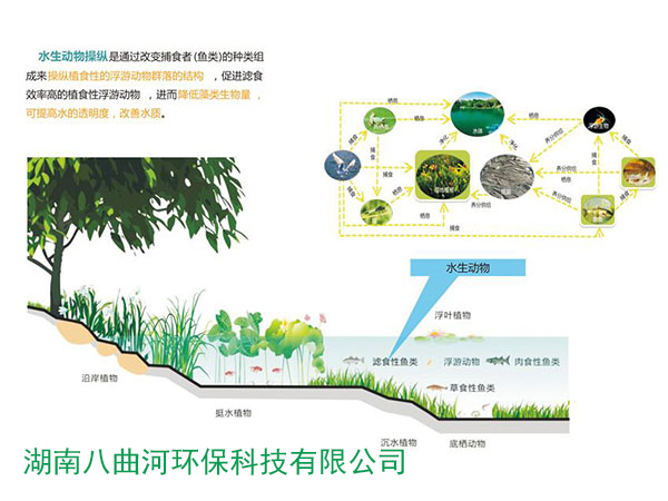 污水凈化原理策略