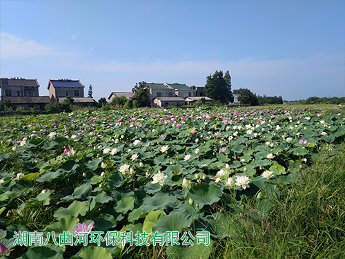 生態(tài)基地