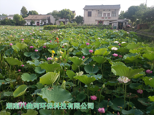 生態(tài)基地