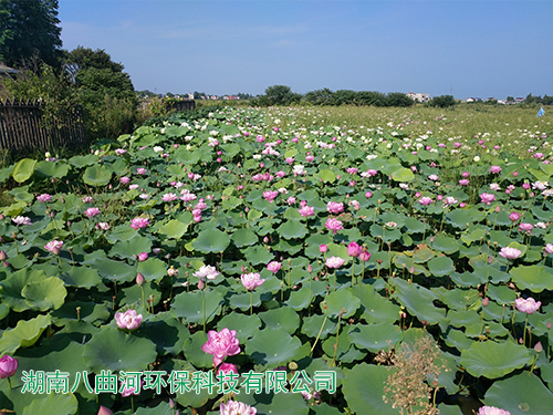 生態(tài)基地