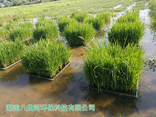 生態(tài)基地