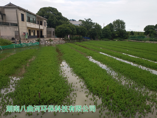 生態(tài)基地