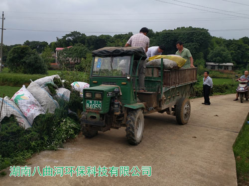 人工濕地公園