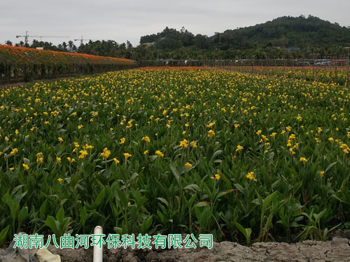 人工濕地公園